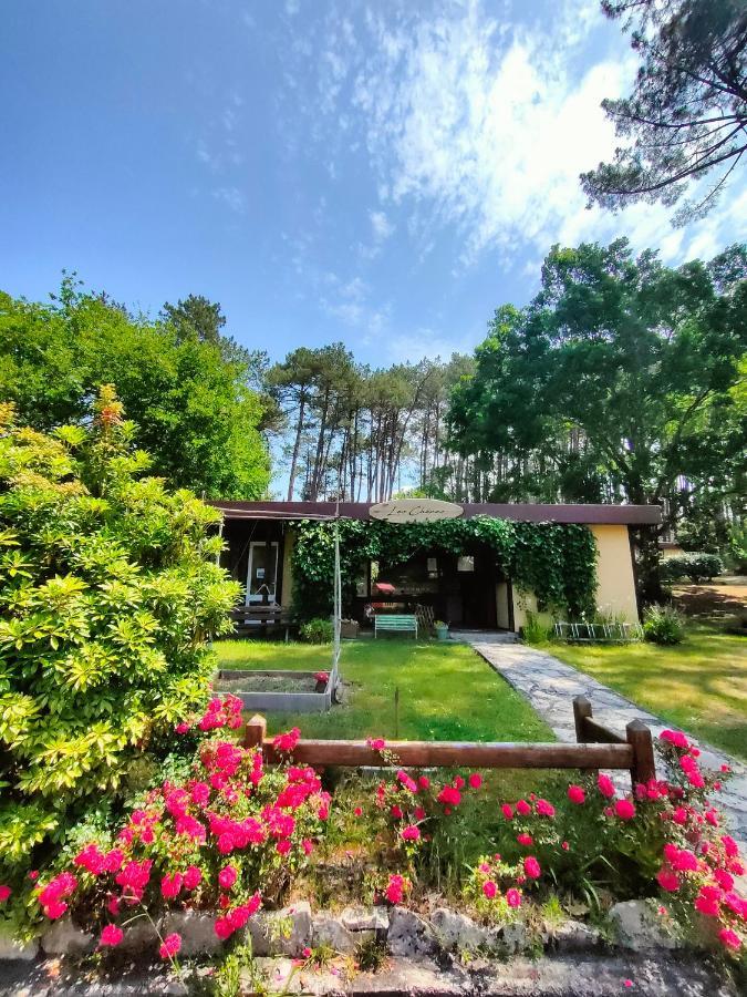 Village Vacances Les Chenes De Леон Экстерьер фото